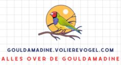 gouldamadine.volierevogel.com